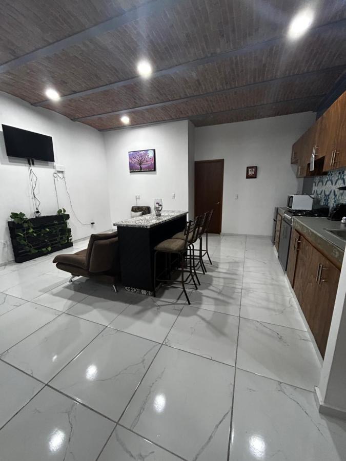 Ferienwohnung Departamentos Colibri Y Tortuga Chapala Exterior foto